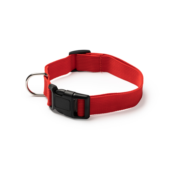 Collar For Pets Korat